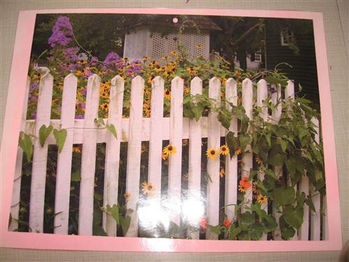  Flower Garden 